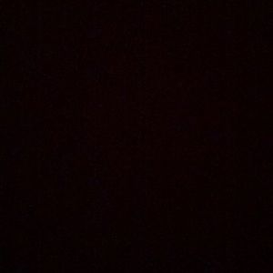 Meet your Posher, Gavin